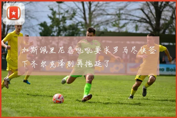 加斯佩里尼急吼吼要求罗马尽快签下齐尔克泽别再拖延了