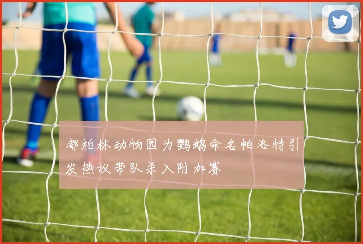 都柏林动物园为鹦鹉命名帕洛特引发热议带队杀入附加赛